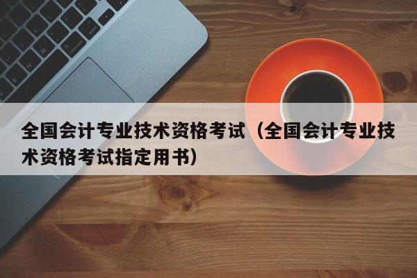 全国会计专业技术资格考试（全国会计专业技术资格考试指定用书）