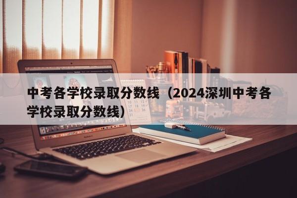 中考各学校录取分数线（2024深圳中考各学校录取分数线）