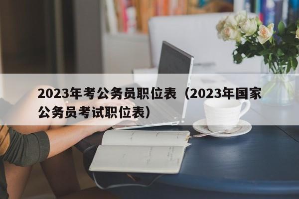 2023年考公务员职位表（2023年国家公务员考试职位表）