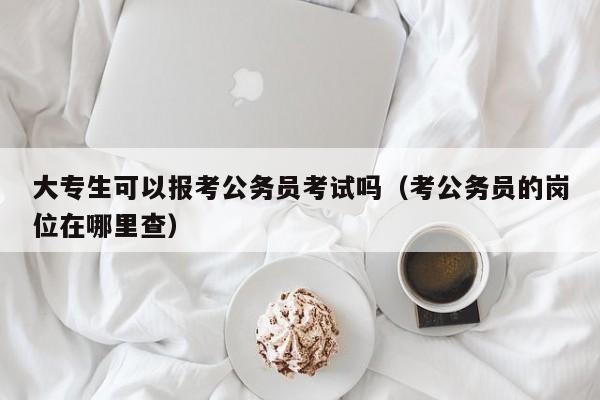 大专生可以报考公务员考试吗（考公务员的岗位在哪里查）