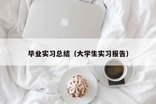 毕业实习总结（大学生实习报告）