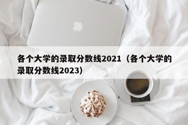 各个大学的录取分数线2021（各个大学的录取分数线2023）