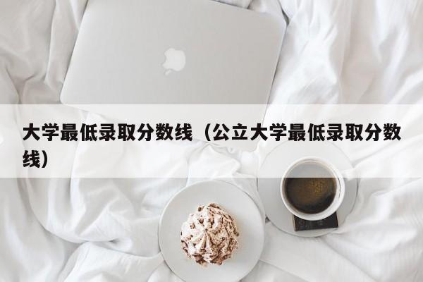 大学最低录取分数线（公立大学最低录取分数线）