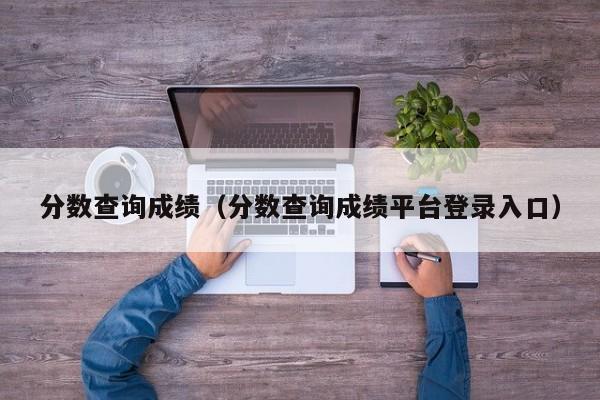 分数查询成绩（分数查询成绩平台登录入口）