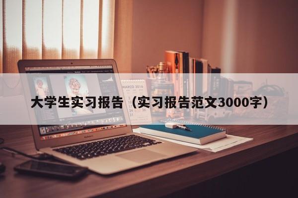 大学生实习报告（实习报告范文3000字）