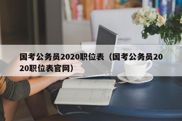 国考公务员2020职位表（国考公务员2020职位表官网）