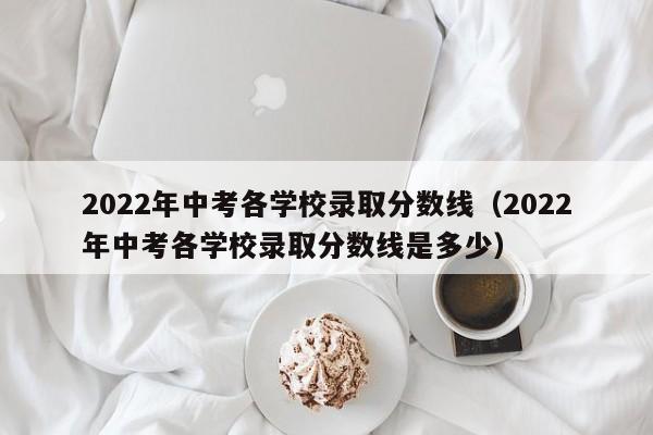 2022年中考各学校录取分数线（2022年中考各学校录取分数线是多少）